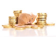 Farbmaus auf Goldmünzen - mouse with gold coins