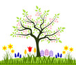 spring flowers