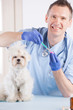 Photo: Vet dog and client Vet dog and client