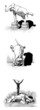 Circus Elephants :3 Scenes