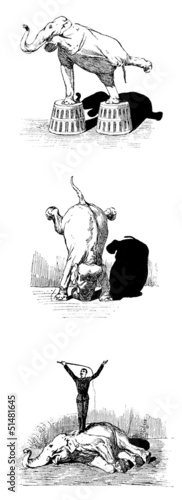 Illustration: Circus Elephants :3 Scenes Circus Elephants :3 Scenes