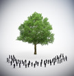 People standing around a large tree