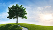 Sunset landscape - tree on a hill