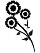 Black flower