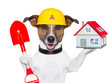 home dog builder