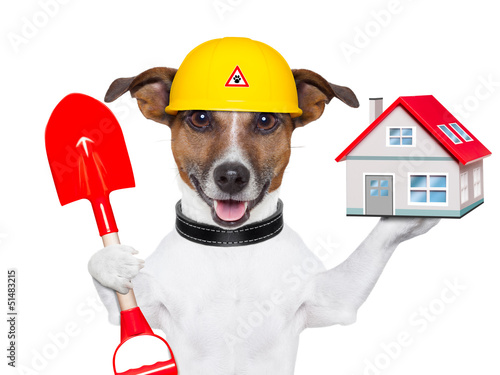 Photo: home dog builder home dog builder