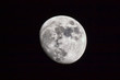 themoon