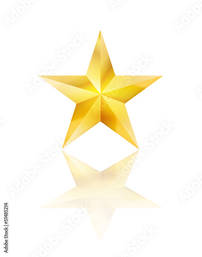 Vector: golden star on white golden star on white