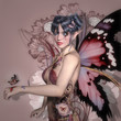 Pink fairy