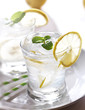 lemonade with ice and mint