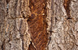 texture