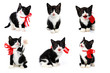 Photo: small cute kitten small cute kitten
