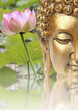 bouddha et lotus rose