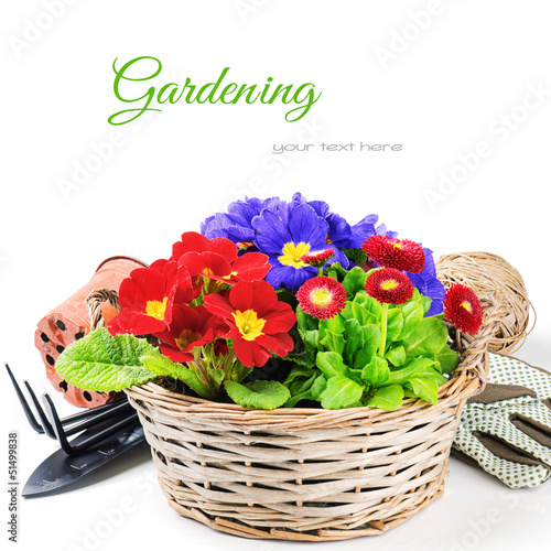 Photo: Colorful flowers in wicker basket Colorful flowers in wicker basket