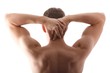 Backside of a man (white background)