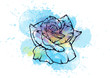 blue watercolor rose