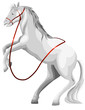 White Horse Character Cartoon ...