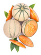 Cantaloupe melones