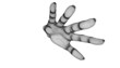 Mano illustrazione anatomia pose disegno