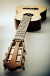 acoustic guitar