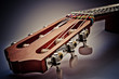 guitar fingerboard
