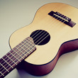 acoustic guitar