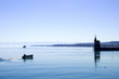 Konstanz - Bodensee