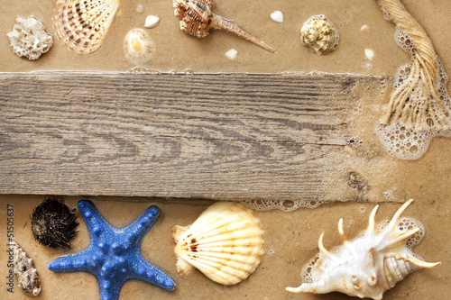 Photo: Starfish and shells on beach with empty board background concept Starfish and shells on beach with empty board background concept