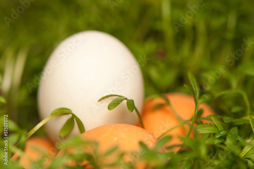 Photo: Easter Easter