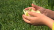 Child Petting Tulip Petals on Meadow, Girl Playing with Flowers