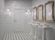 Illustration: Toilettes marbre Toilettes marbre