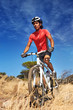 Photo: trail bike riding trail bike riding