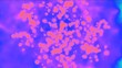 Colorama Plankton