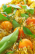 tangerines in ornaments