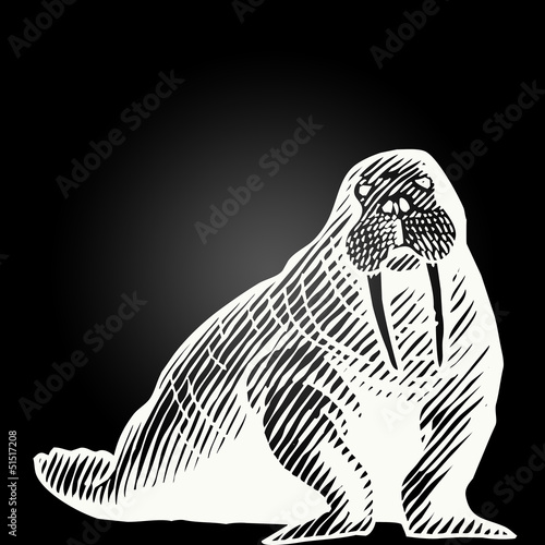 Illustration: Morse animal tatouage Morse animal tatouage