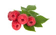 Raspberry isolated