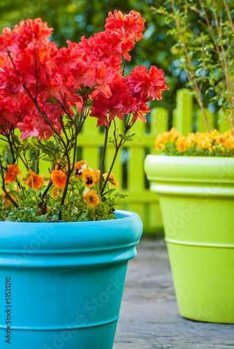 Photo: Colorful garden view with a blue and a green flower pot Colorful garden view with a blue and a green flower pot
