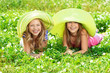Foto: on the grass on the grass