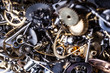 Gears
