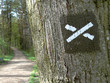 Foto: Wanderwegmarkierung Wanderwegmarkierung
