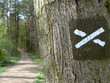 Foto: Wanderwegmarkierung Wanderwegmarkierung