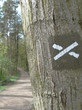 Foto: Wanderwegmarkierung Wanderwegmarkierung