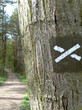 Foto: Wanderwegmarkierung Wanderwegmarkierung