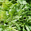 Frischer grüner Rucola Salat an einem Marktstand