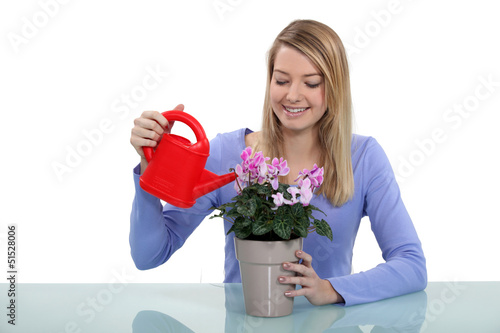 Photo: Woman watering plant Woman watering plant