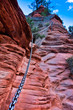 Angel Landing Trail in Zion National Park,Utah,USA