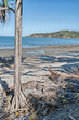 Beautiful landscape of Daintree Park, Queensland - Australia