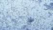Snow melting on window