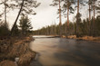Early spring creek in Sweden