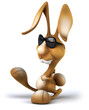 Fun rabbit